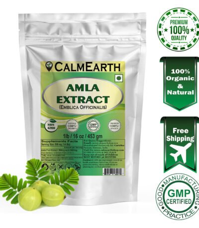 Amla Extract Powder powder fine texture close-up by CalmEarth