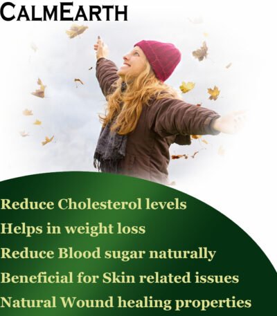 Bitter Melon Extract Powder powder natural herbal powder by CalmEarth