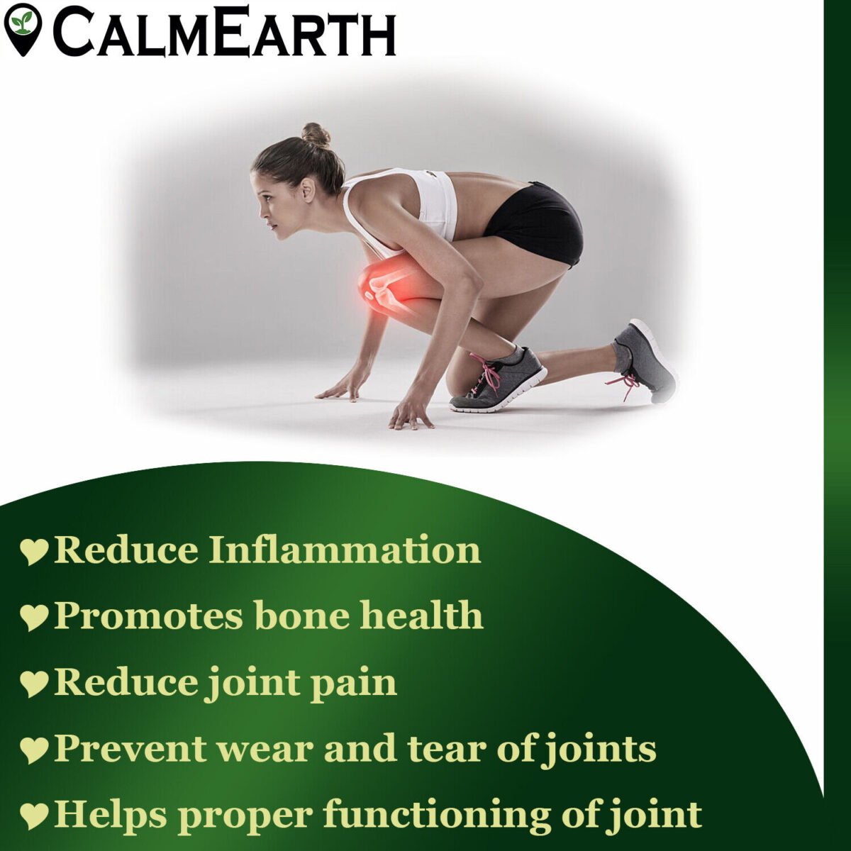 Boswellia Serrata Extract Powder powder natural herbal powder by CalmEarth