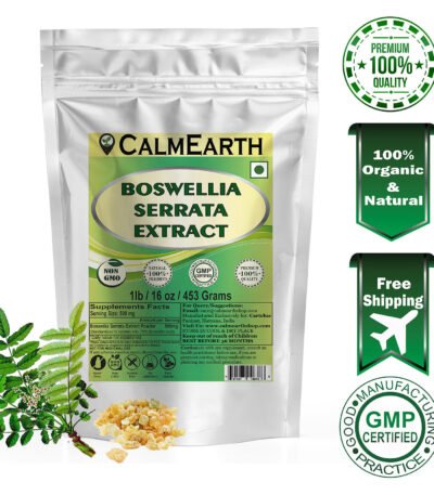 Boswellia Serrata Extract Powder powder fine texture close-up by CalmEarth