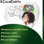 Brahmi Extract Powder powder natural herbal powder by CalmEarth