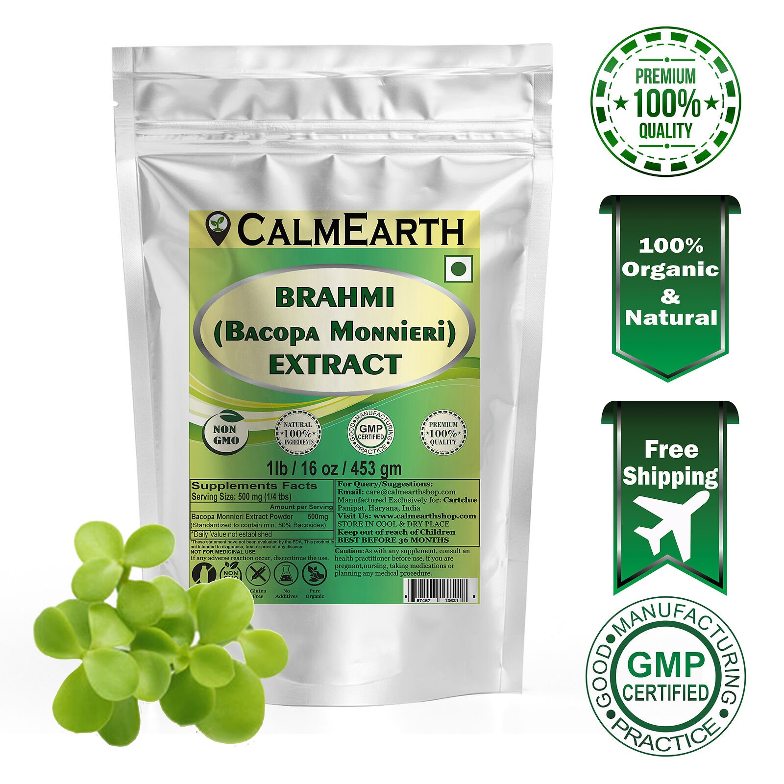 brahmi-extract-powder-calmearth Brahmi Extract Powder powder fine texture close-up by CalmEarth