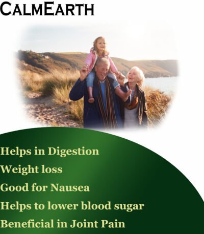 Ginger Extract Capsules capsules close-up view by CalmEarth