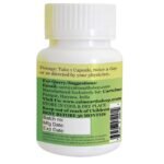 Ginger Extract Capsules capsules ayurvedic wellness supplement by CalmEarth