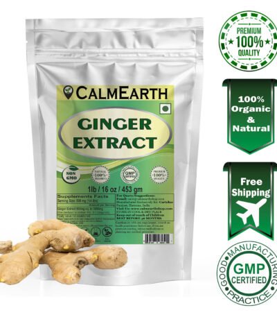 Ginger Extract Powder powder fine texture close-up by CalmEarth