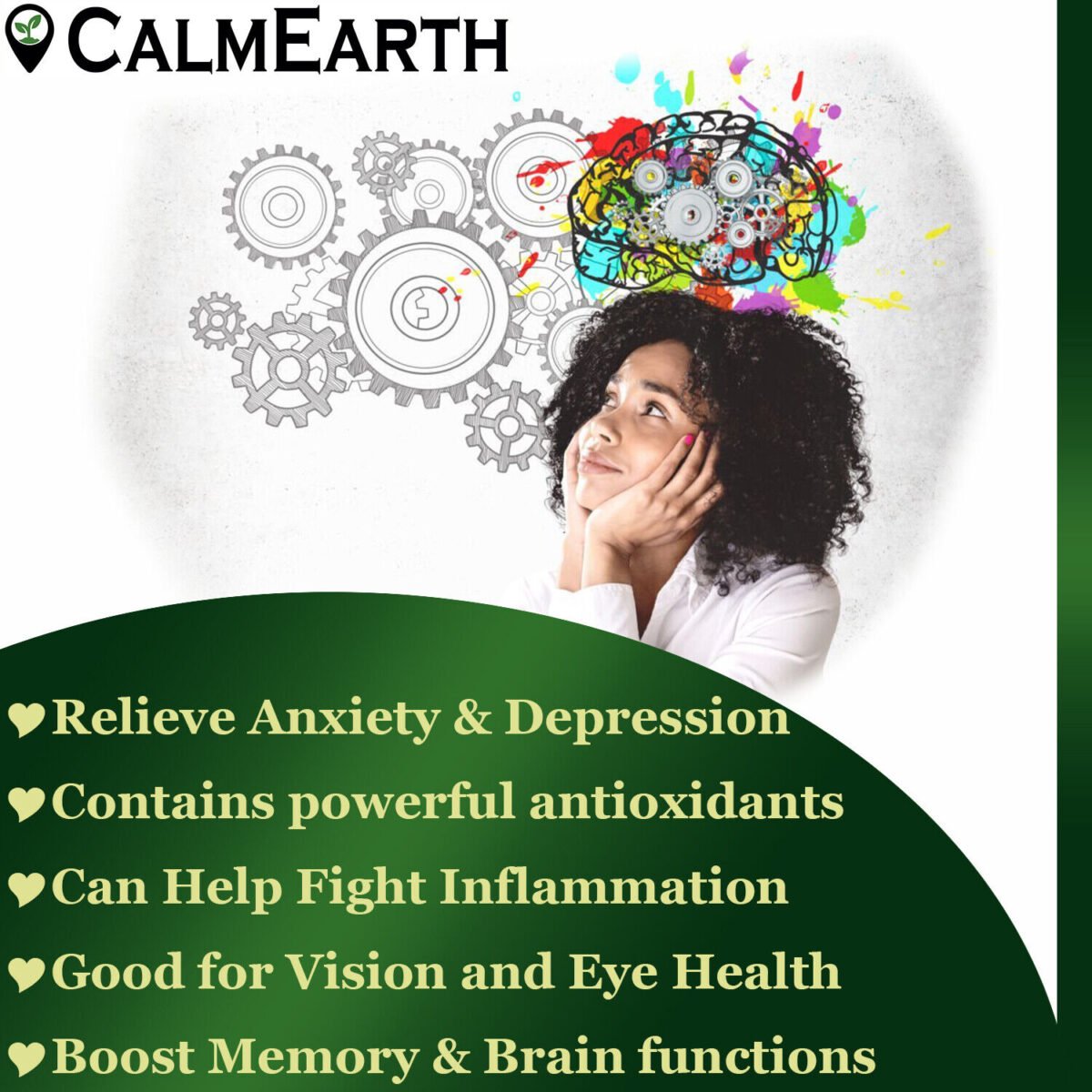 Ginkgo Biloba Extract Capsules capsules close-up view by CalmEarth