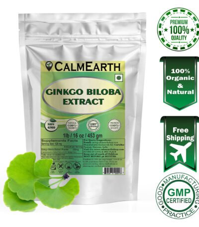 Ginkgo Biloba Leaf Extract Powder powder fine texture close-up by CalmEarth