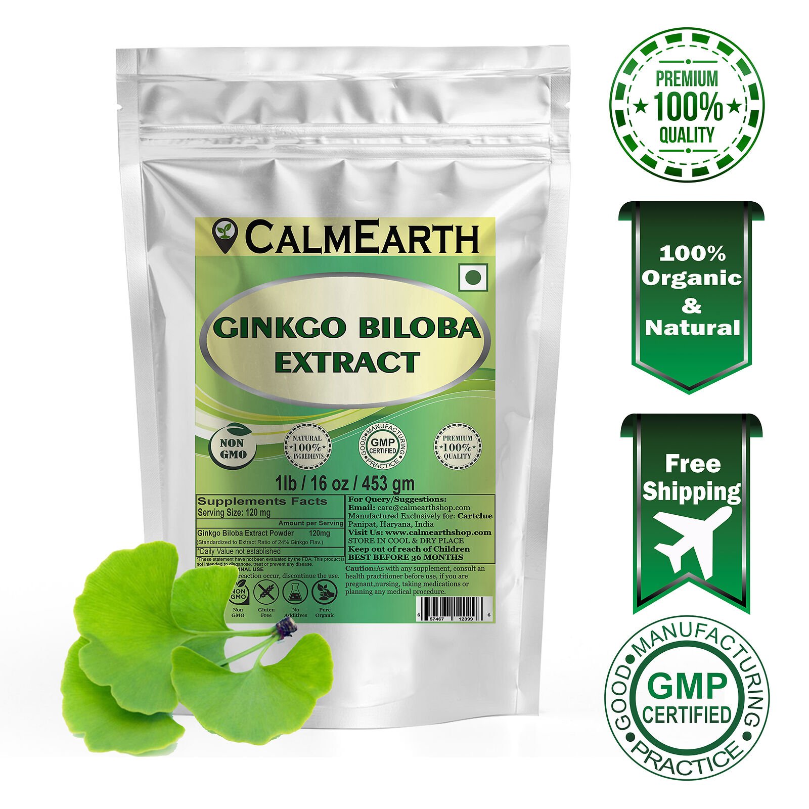 ginkgo-biloba-leaf-extract-powder-calmearth Ginkgo Biloba Leaf Extract Powder powder fine texture close-up by CalmEarth