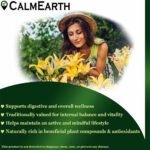 Haritaki benefits — CalmEarth organic herbal supplement
