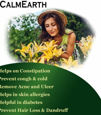 Haritaki Extract Powder powder natural herbal powder by CalmEarth