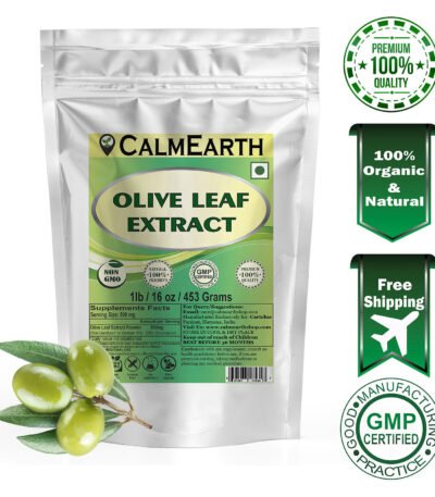Olive Leaf Extract Powder powder fine texture close-up by CalmEarth