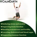 Organic Ashwagandha Capsules capsules close-up view by CalmEarth