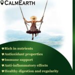Organic Barley Grass Powder powder natural herbal powder by CalmEarth