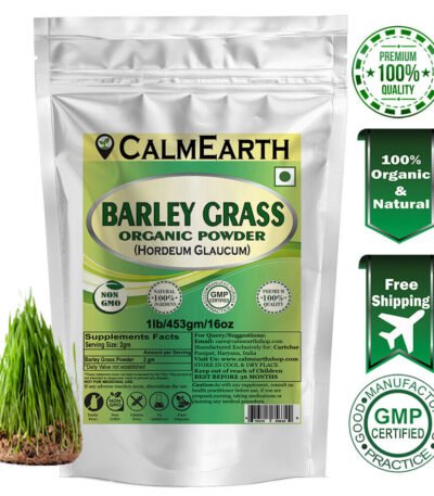 Organic Barley Grass Powder powder fine texture close-up by CalmEarth