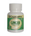Organic Ginger Capsules capsules close-up view by CalmEarth