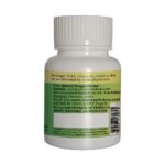 Organic Ginger Capsules capsules ayurvedic wellness supplement by CalmEarth