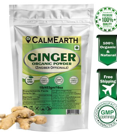 Organic Ginger Powder powder fine texture close-up by CalmEarth