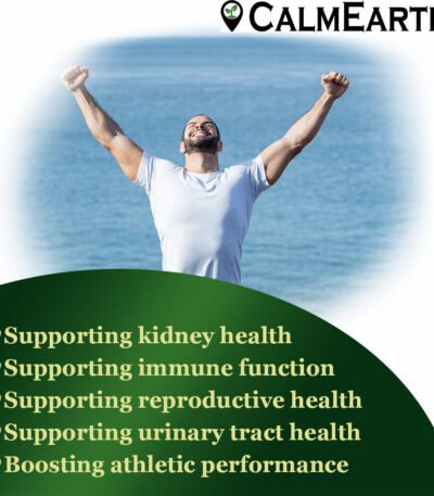 Organic Gokshura Powder powder natural herbal powder by CalmEarth