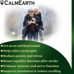 Organic Gotu Kola Powder powder natural herbal powder by CalmEarth