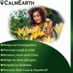 Organic Haritaki Capsules capsules close-up view by CalmEarth