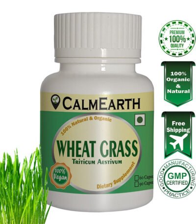 Organic Wheat Grass Capsules capsules ayurvedic wellness supplement by CalmEarth