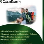 Tulsi benefits — CalmEarth organic herbal supplement