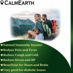 Tulsi Herbal Capsules capsules close-up view by CalmEarth